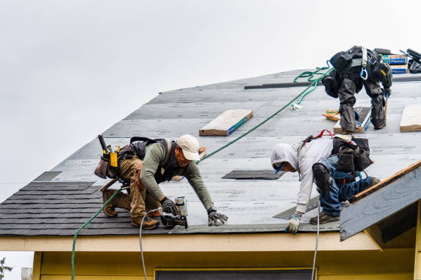 Professional Roofing technician working in Eldena, IL